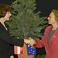 Wollemi Pine a Diplomatic Gift to Austria