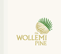 Wollemi Pine Logo